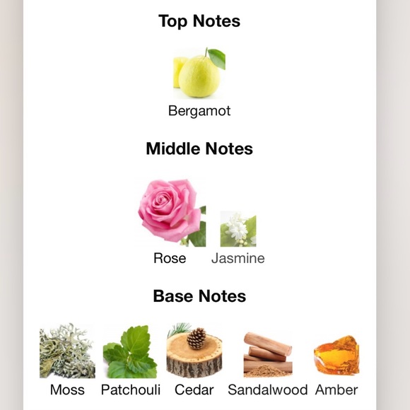 Gris Dior Eau De Parfum, 4.25 oz - Picture 15 of 15